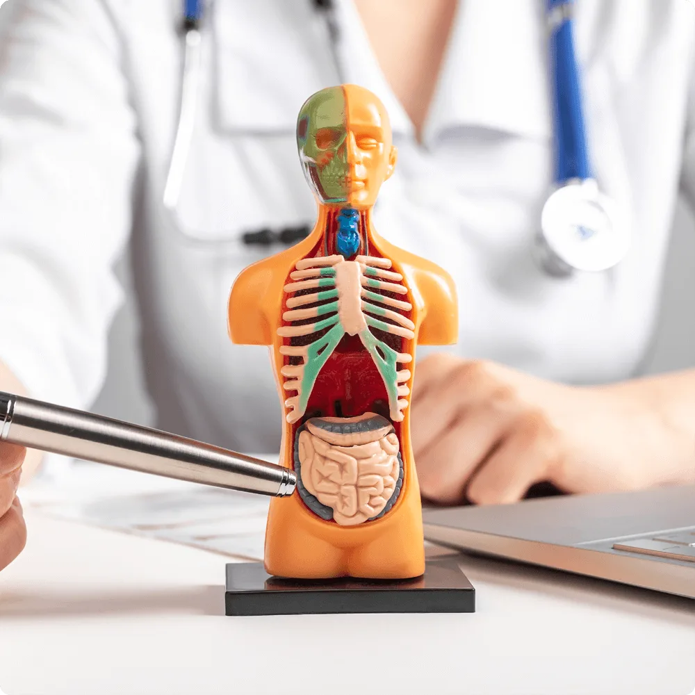 Das GastroEnterologie Portal - Wilkommen